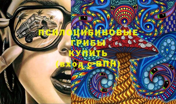 гашик Алексеевка
