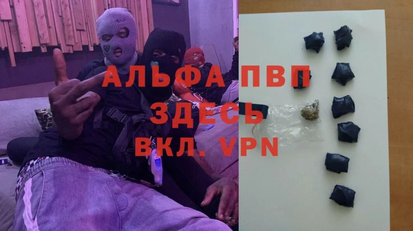 гашик Алексеевка