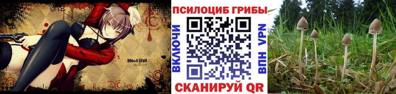 blacksprut рабочий сайт  Данилов  маркетплейс официальный сайт  Галлюциногенные грибы Magic Shrooms 